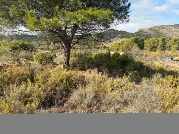 Terreno en plaza Poligono 2, 306