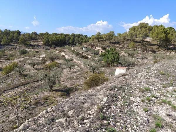 Terreno en Tibi