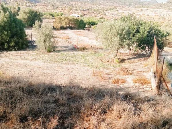 Terreno en El Secanet - Hacienda del Sol