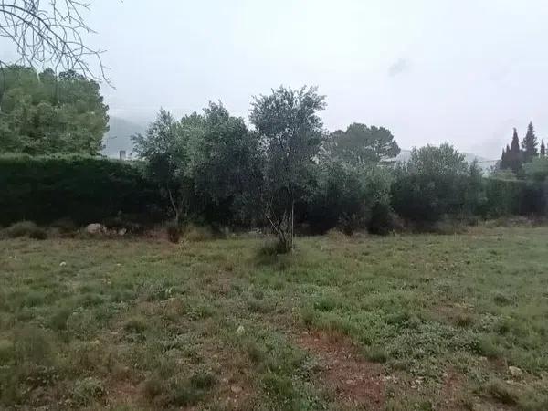 Terreno en Partida de la Plana, 22