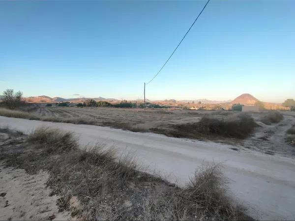 Terreno en camino de la Cova, 425