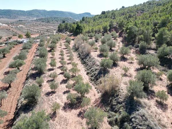 Terreno en Pinoso