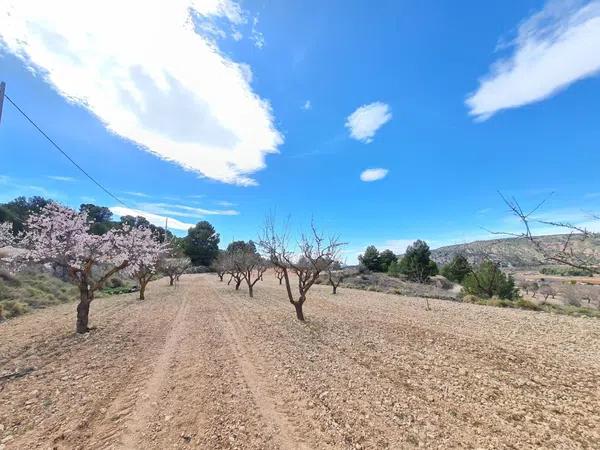 Terreno en Pinoso