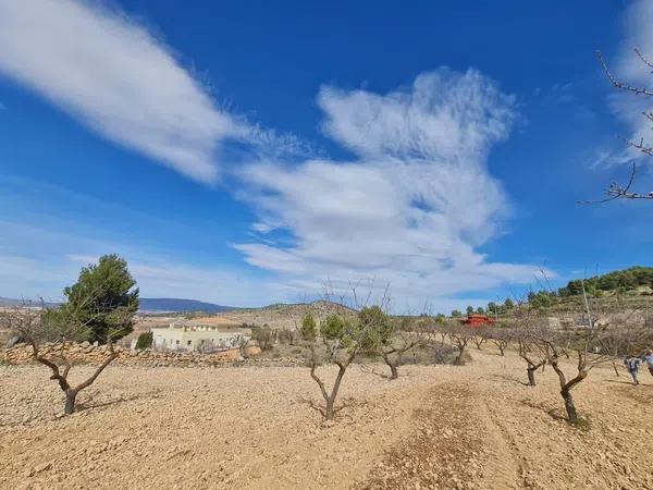 Terreno en Pinoso