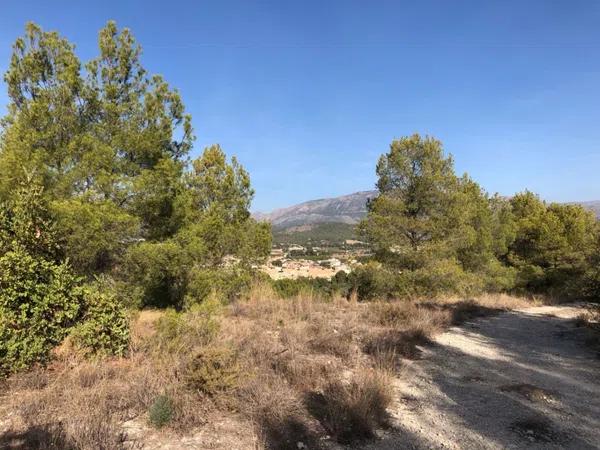 Terreno en La Nucia Pueblo