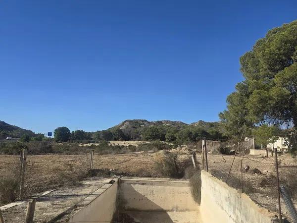 Terreno en camino del Milano