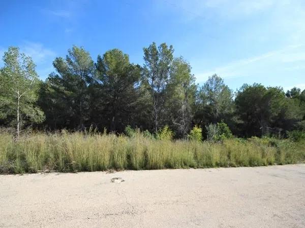 Terreno en Cap Martí - Pinomar