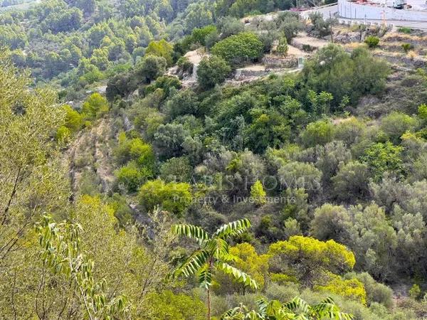 Terreno en Vall de Laguart