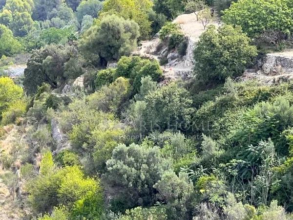 Terreno en Vall de Laguart