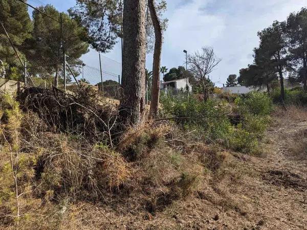 Terreno en Pinar de Advocat-Cometa