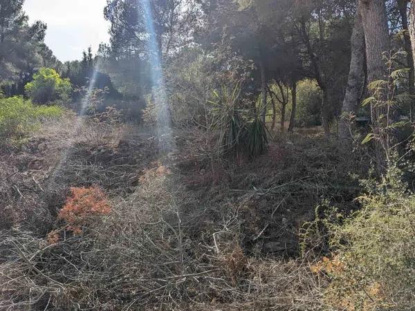 Terreno en Pinar de Advocat-Cometa