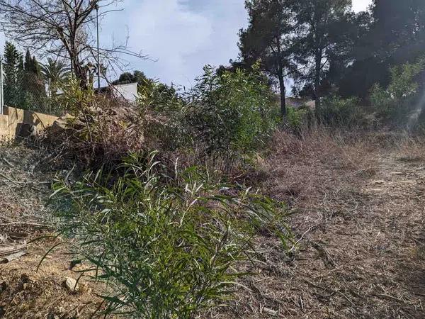 Terreno en Pinar de Advocat-Cometa