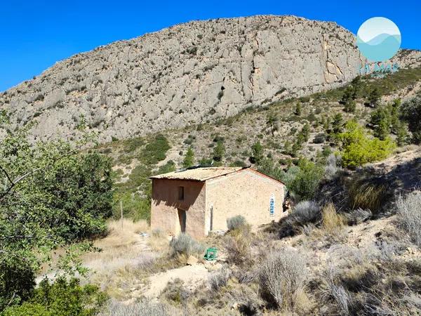 Terreno en camino de la Partida Pla de Cabeçó