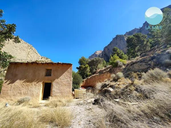 Terreno en camino de la Partida Pla de Cabeçó