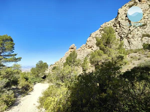 Terreno en camino de la Partida Pla de Cabeçó