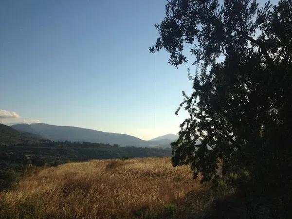 Terreno en camino del Oratori a Solana, 94 Parcela