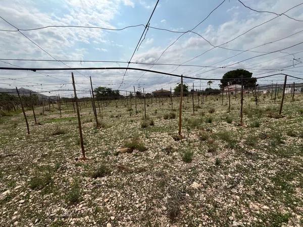 Terreno en plaza Poligono 33