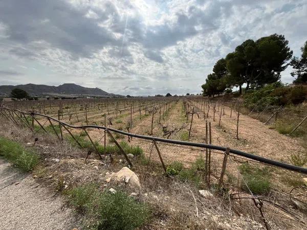 Terreno en camino Alvaro