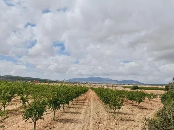 Terreno en Pinoso