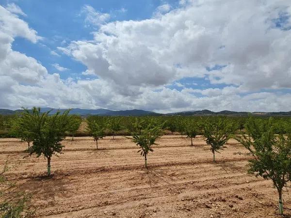 Terreno en Pinoso