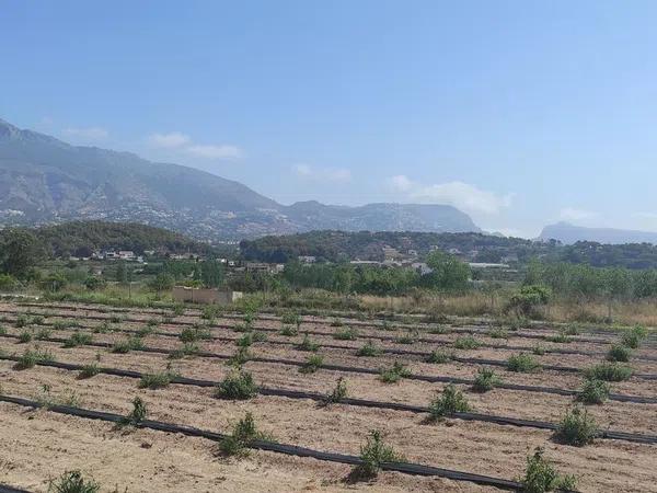 Terreno en camino de l'Horta, 52