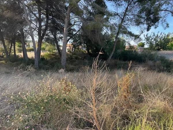 Terreno en Benimeit-Tabaira