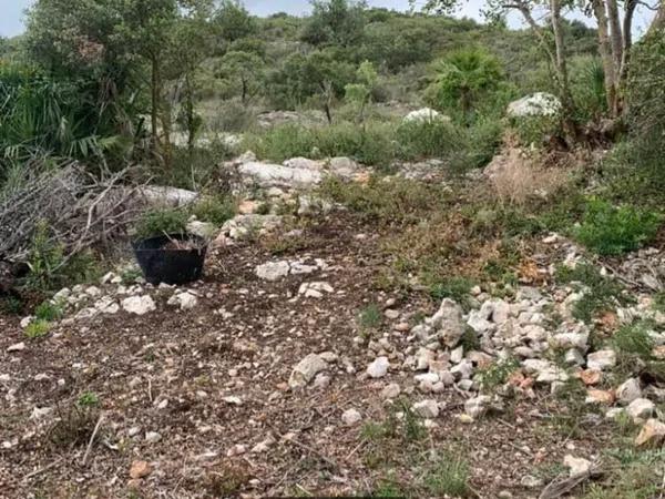 Terreno en carretera Gata, 101