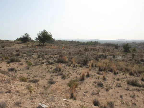 Terreno en Diseminado Moralet, km 1