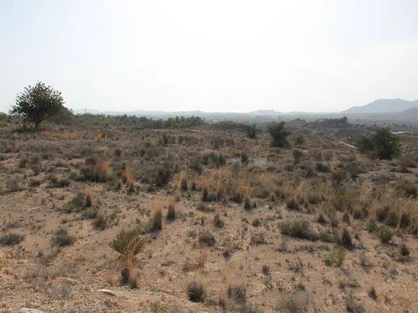 Terreno en Diseminado Moralet, km 1