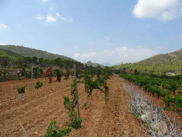 Terreno en Llíber