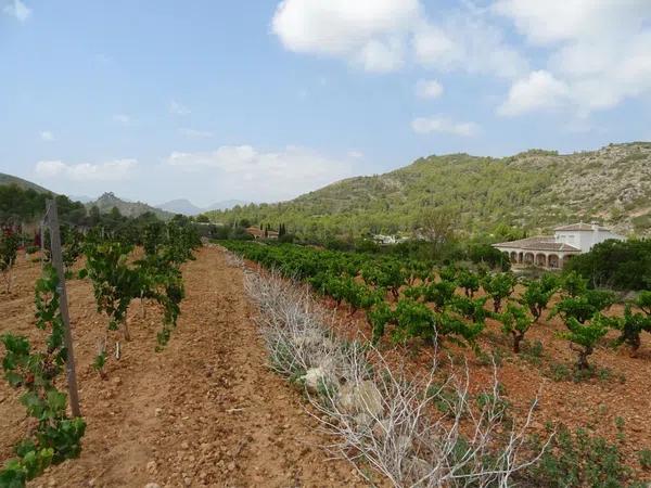 Terreno en Llíber