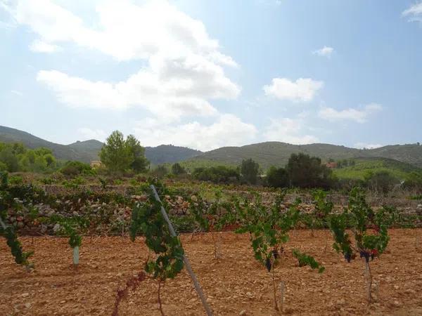 Terreno en Llíber