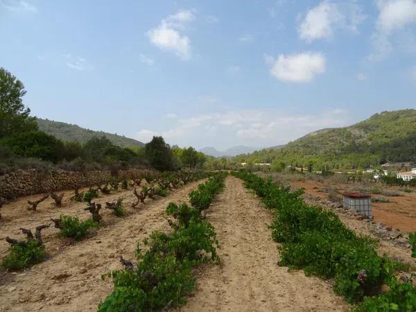 Terreno en Llíber