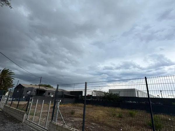 Terreno en calle Pino, 2