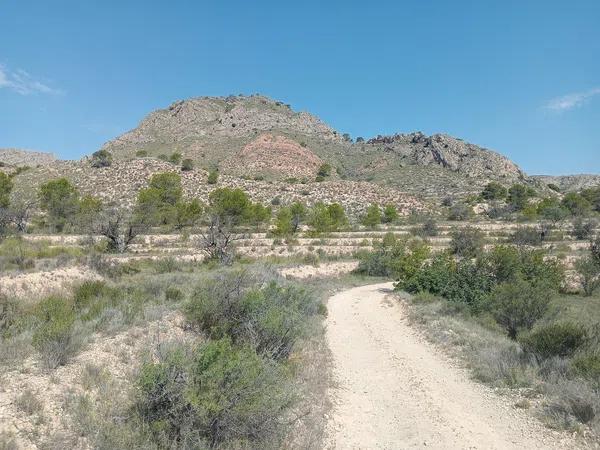 Terreno en Poligono, 21