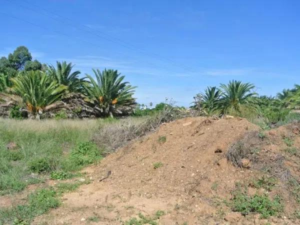 Terreno en avenida de Gandia