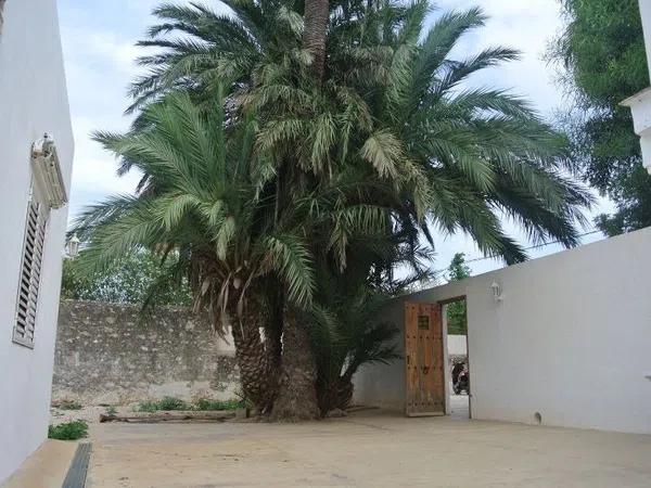 Terreno en avenida de Gandia