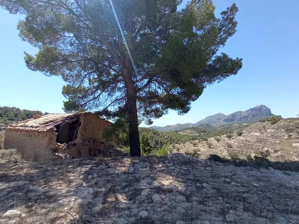 Terreno en Partida Bortolons, 25