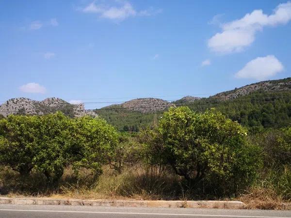 Terreno en avenida De Pego, 21 a