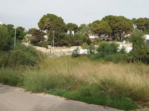 Terreno en carretera Moraira-Teulada