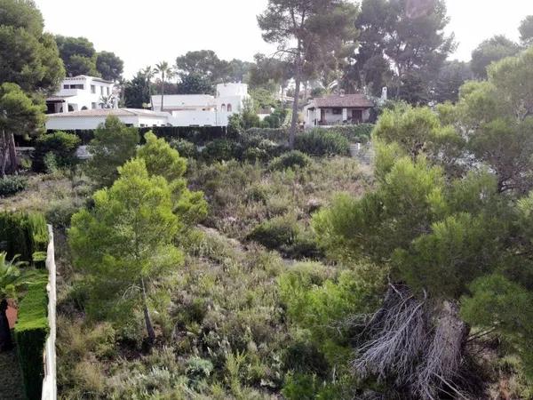 Terreno en carretera Moraira-Teulada