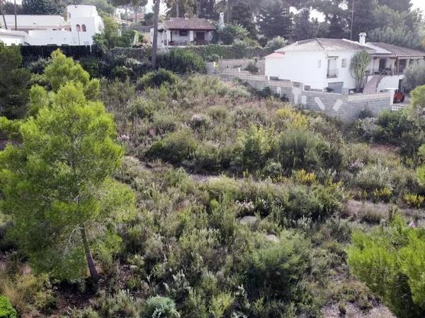 Terreno en carretera Moraira-Teulada