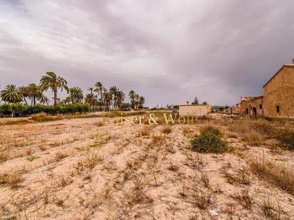 Terreno en carretera Elx - Santa Pola