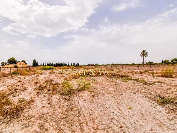 Terreno en carretera Elx - Santa Pola