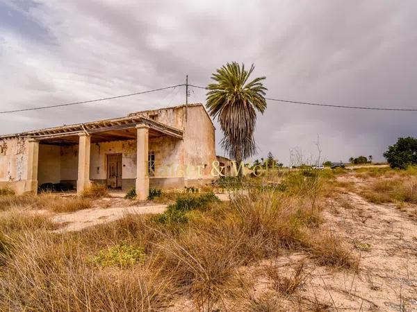 Terreno en carretera Elx - Santa Pola