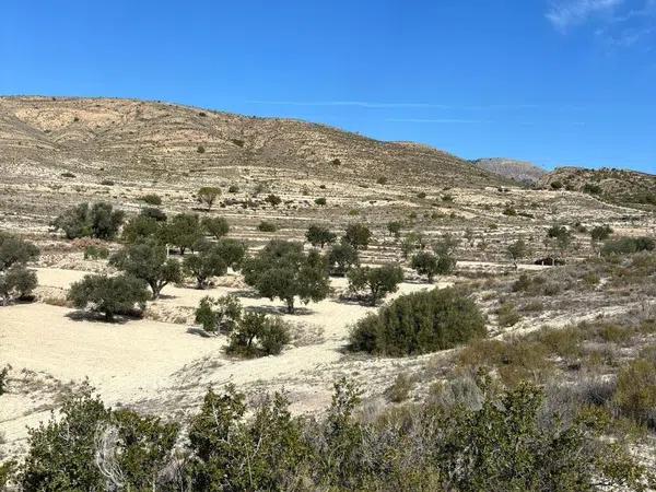 Terreno en Polígono 8 Parcela 136