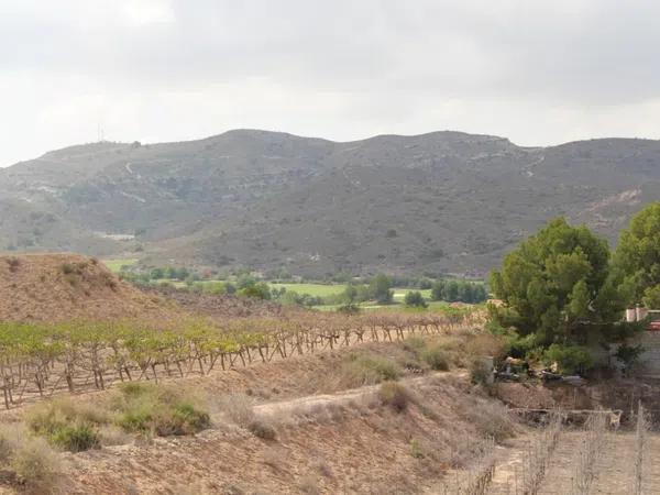 Terreno en calle Carlos Arniches