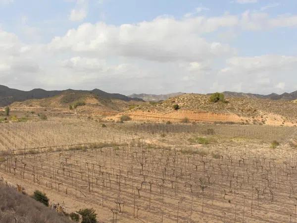 Terreno en calle Carlos Arniches