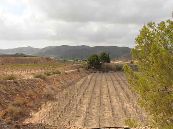 Terreno en calle Carlos Arniches