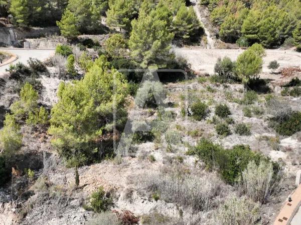 Terreno en La Fustera